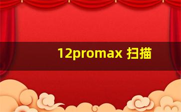 12promax 扫描